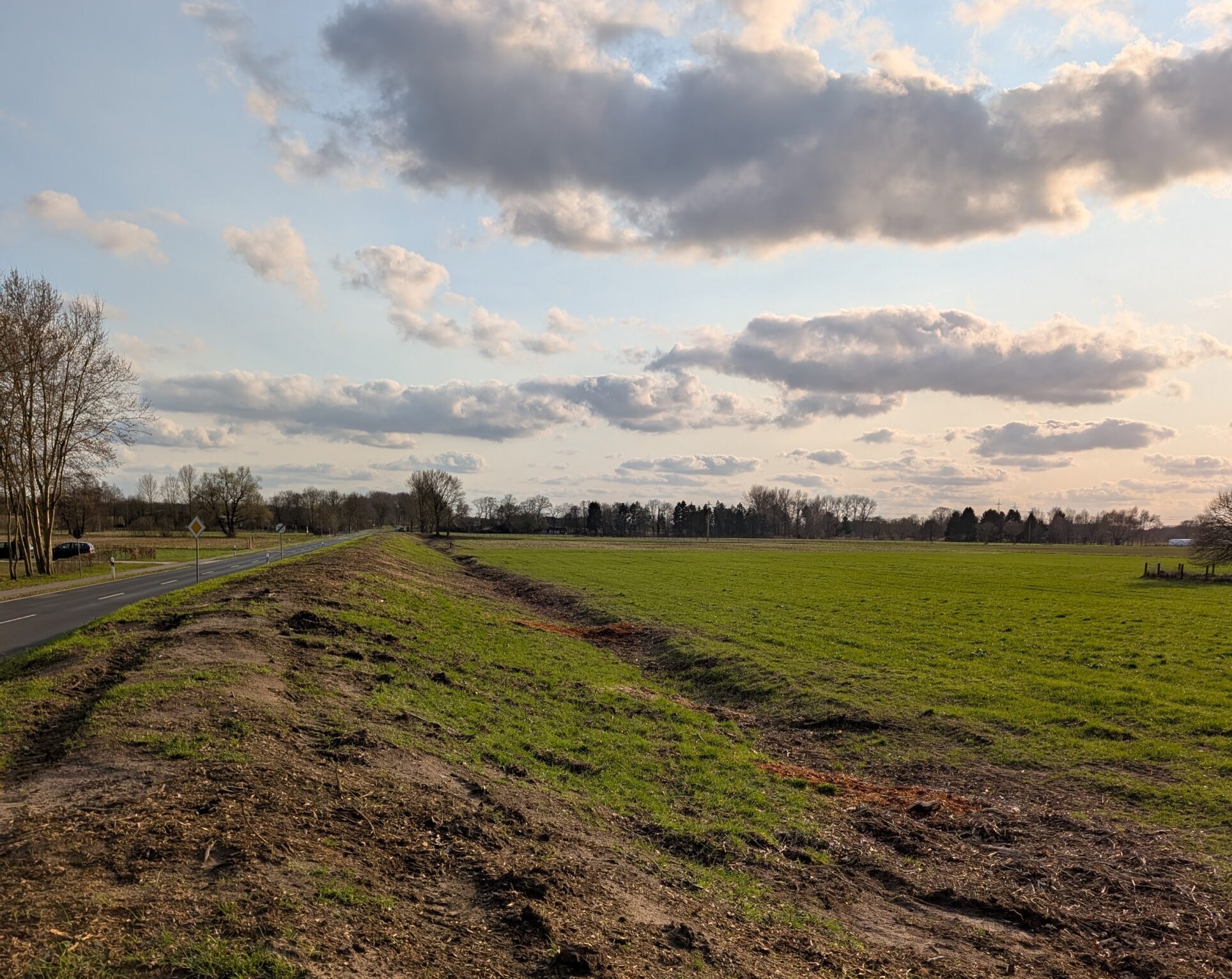Meppen zeigt, wie es geht: Gemeinsam für 166 neue Bäume